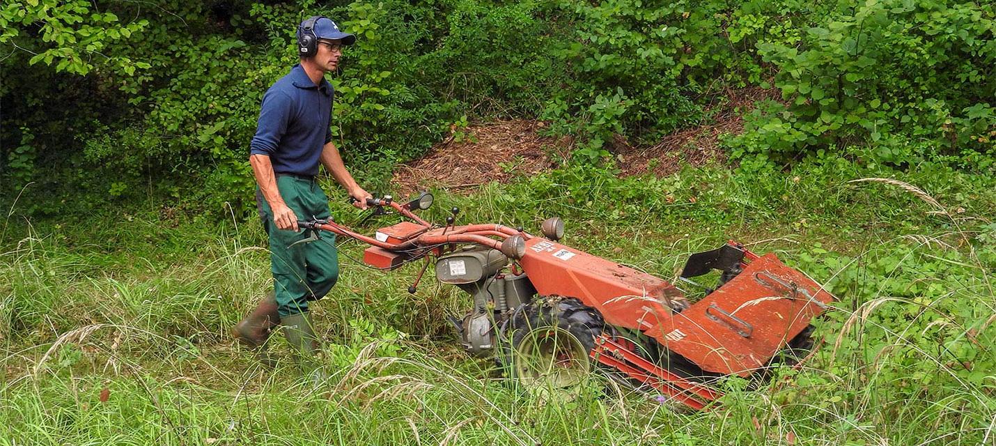 Reto Greminger mäht Stauden und Gras